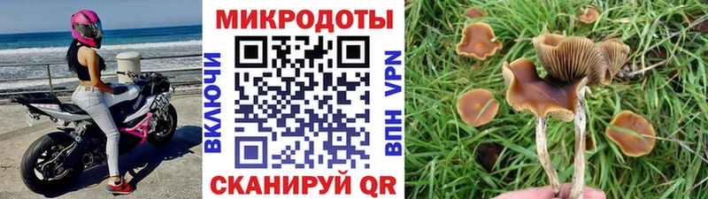 Галлюциногенные грибы Cubensis  Кохма 