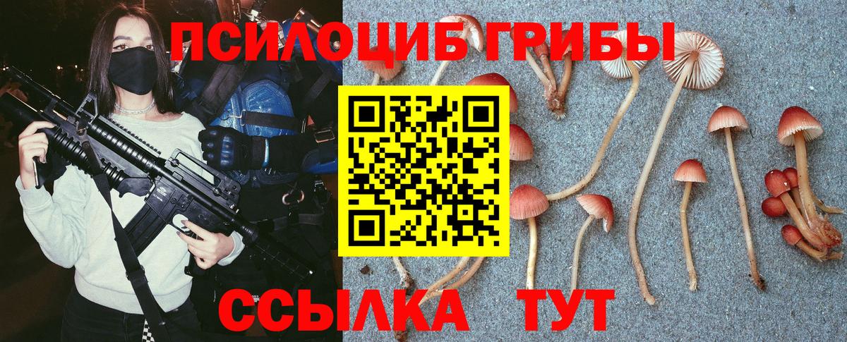 Псилоцибиновые грибы Psilocybine cubensis Кохма