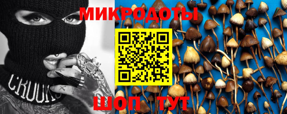 Кохма  Галлюциногенные грибы Magic Shrooms  Вход с VPN  Псилоцибиновые грибы прущие грибы 